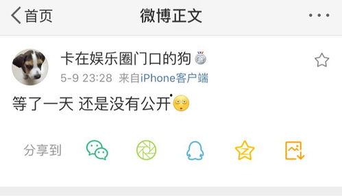 吃瓜爆料挣钱吗,吃瓜爆料，揭秘网络时代的新兴赚钱之道